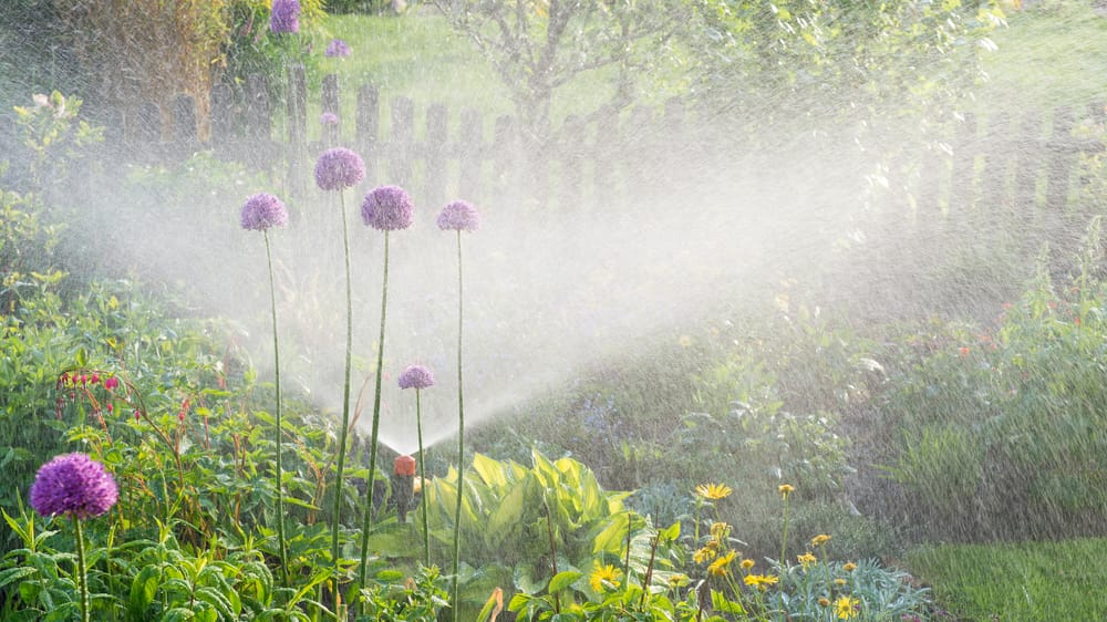 A photograph of a water sprinkler spraying water in a flower garden.