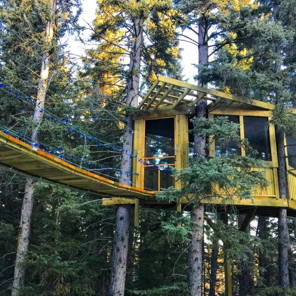 A photograph of Jann Arden's Magical Tree House. It is a small cabin structure high above the ground. It is mounted on several trees with a small suspended bridge connecting the main doorway. | Harrowsmith Magazine