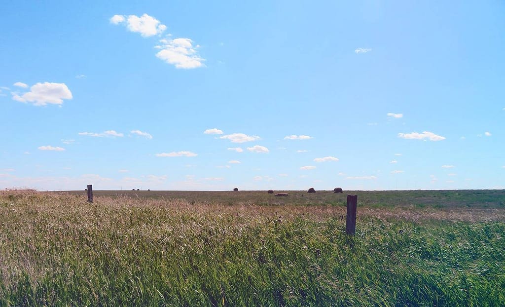 Prairie Sky | Footnotes from the Grasslands | Harrowsmith Magazine