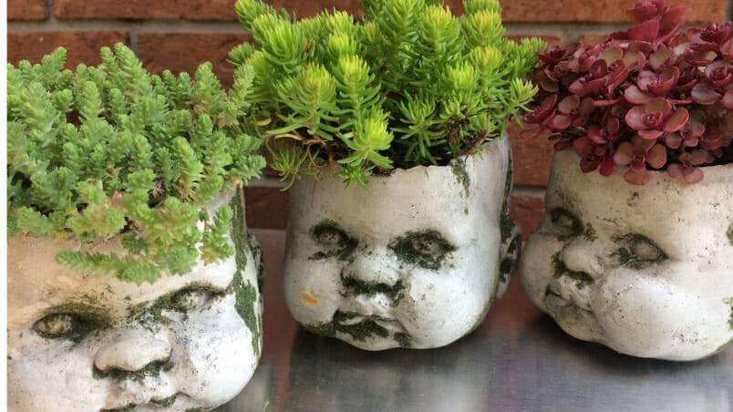 How to Make Moss