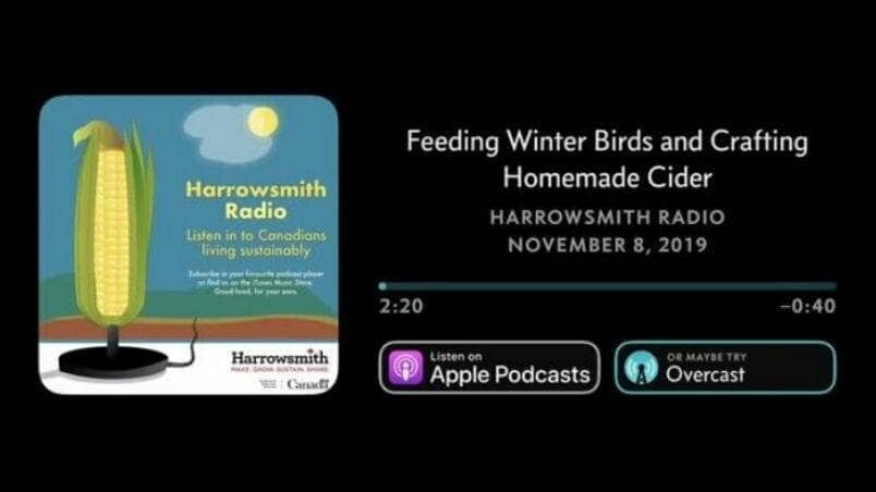 EP 7 Feeding Winter Birds and Crafting Homemade Cider
