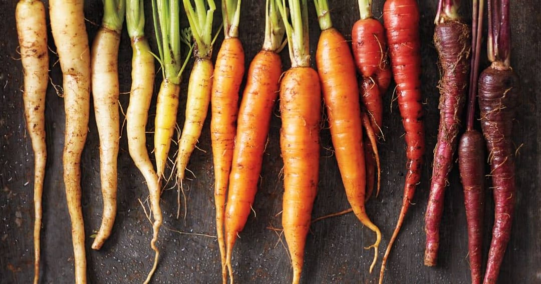 10 Unusual (& Delish!) Varieties of Carrots to Grow