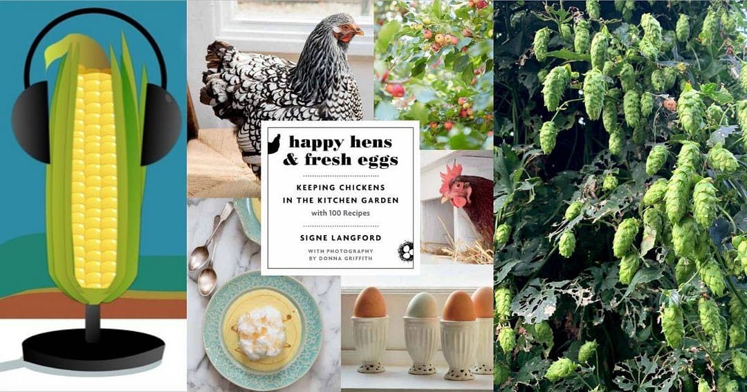 Of Hens and Hops