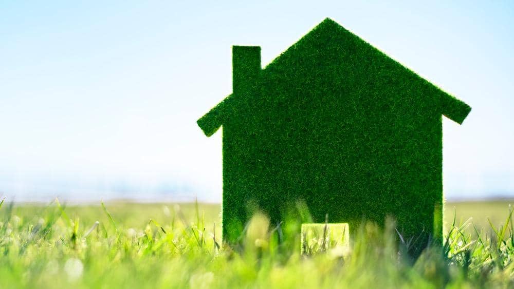 How to Create a Cleaner & Greener Home
