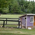 Chicken Coops and Curb Appeal