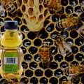 BeeMaid Honey | Sponsor | Harrowsmith Magazine