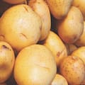 No Small Potatoes on Harrowsmith Mag