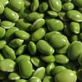 Pulses | Beans | Harrowsmith Magazine