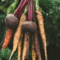 The Magic of Root Vegetables