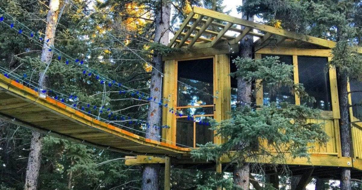 A photograph of Jann Arden's Magical Tree House. It is a small cabin structure high above the ground. It is mounted on several trees with a small suspended bridge connecting the main doorway. | Harrowsmith Magazine