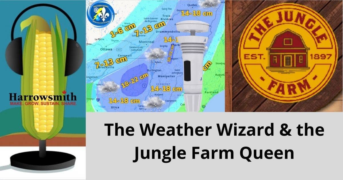 The Weather Wizard and the Jungle Farm Queen