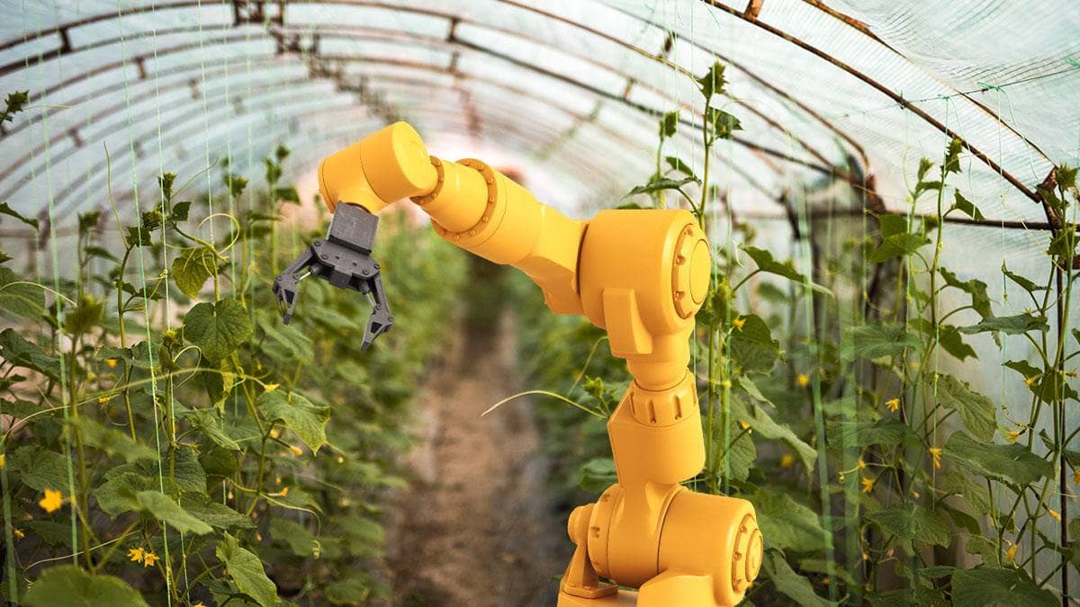 robot tending plants