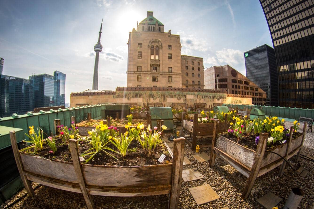 The rooftop garden at the Fairmont Royal York Hotel in Toronto.