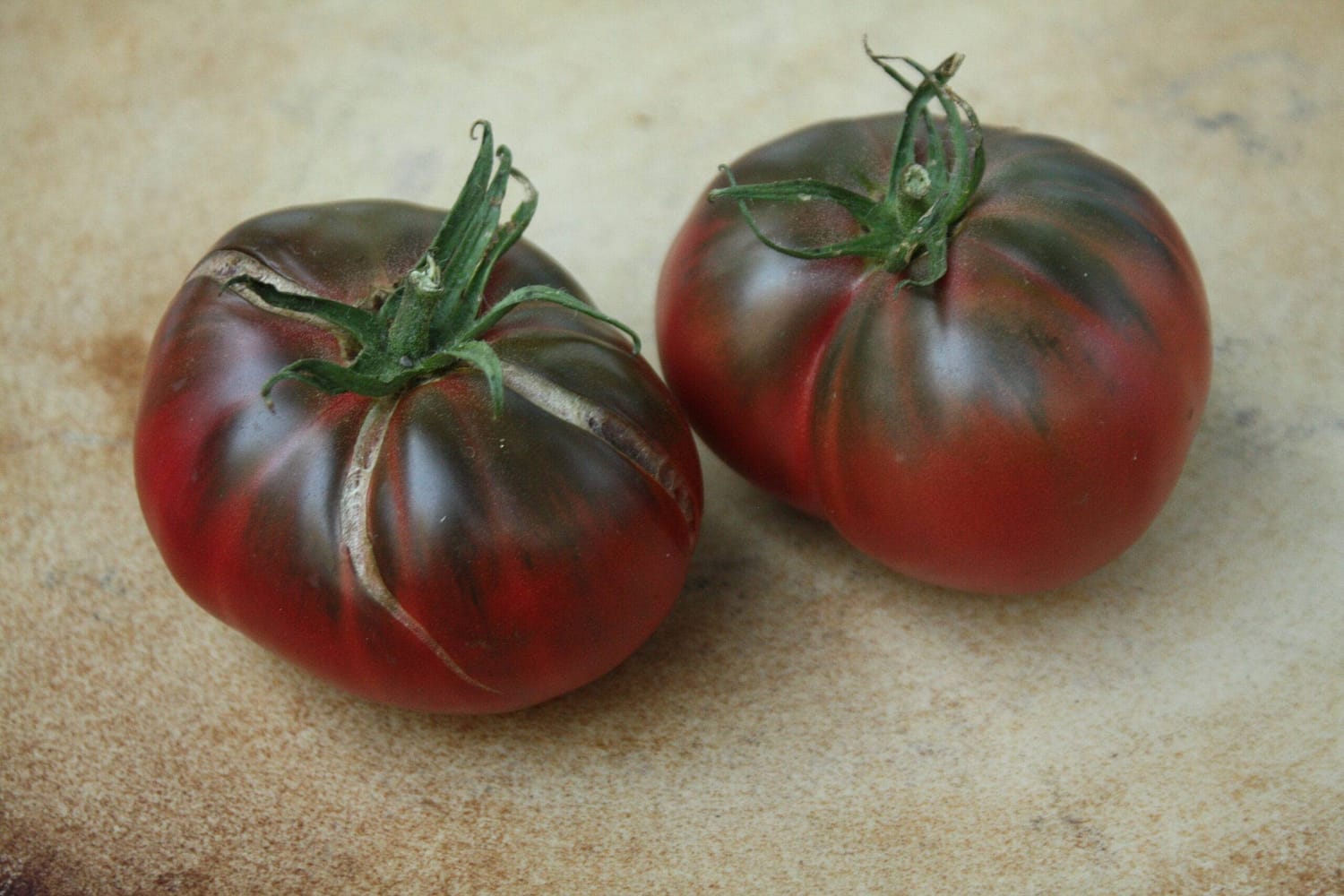Harrowsmith Gen XYZ – Emma’s Edible Yard – A Perfect Purple Sandwich Tomato