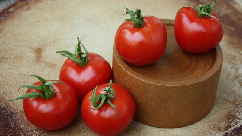 Harrowsmith Gen XYZ – Emma’s Edible Yard – The Secret to Harvesting the First Ripe Tomato on the Block