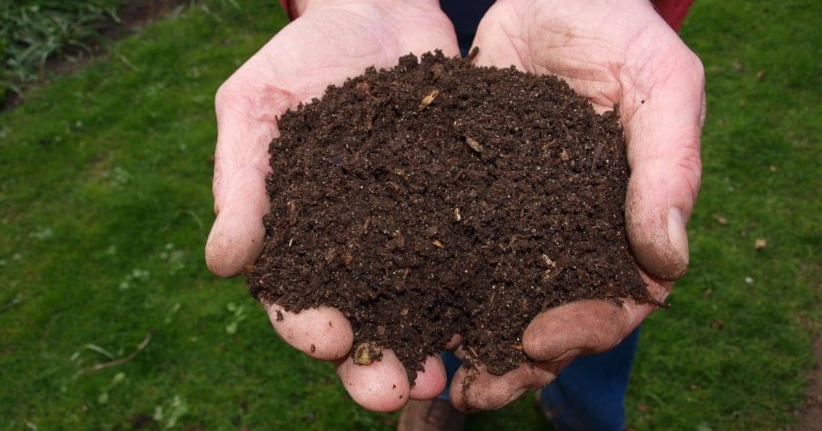 How to Make Compost in Your Backyard