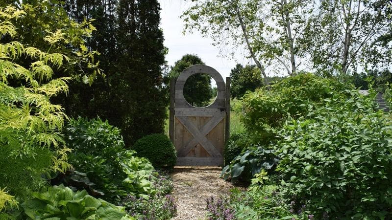 9 Steps to Starting a New Garden