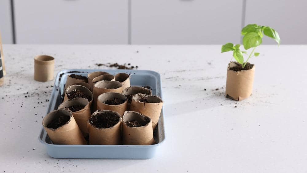 Make Your Own Biodegradable Pots