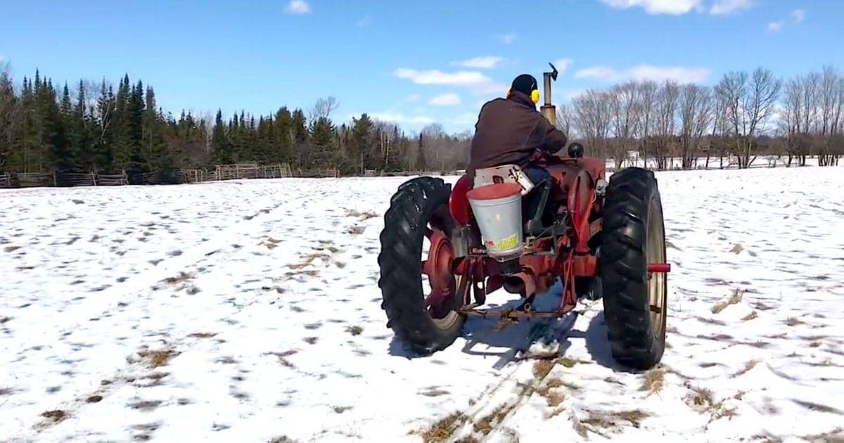 What is Frost Seeding & How it Works