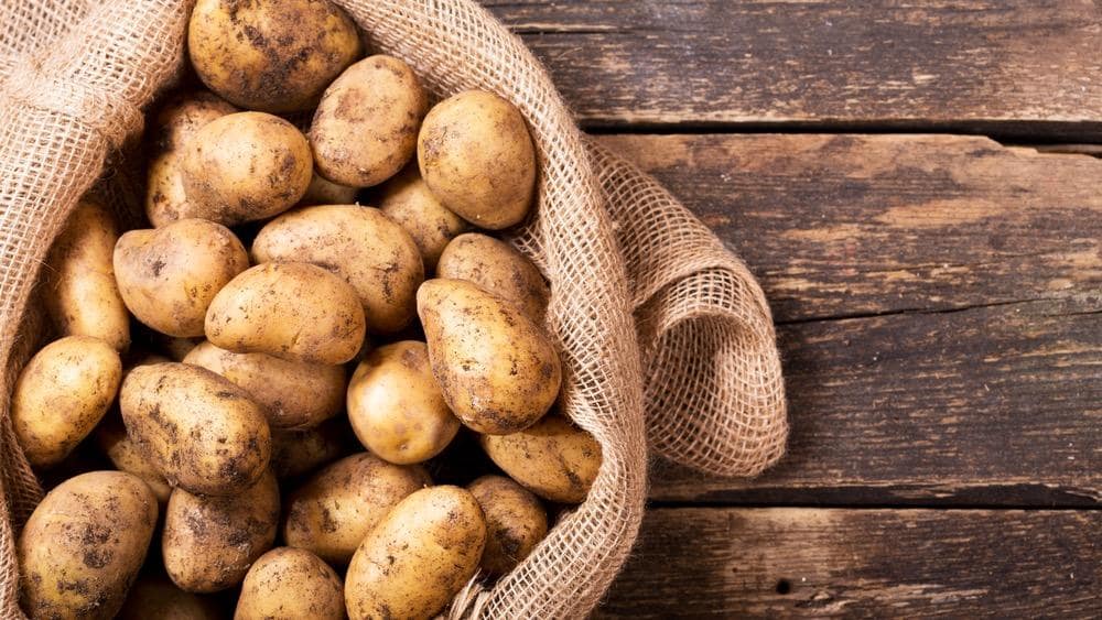How to Plant, Grow and Harvest Potatoes 