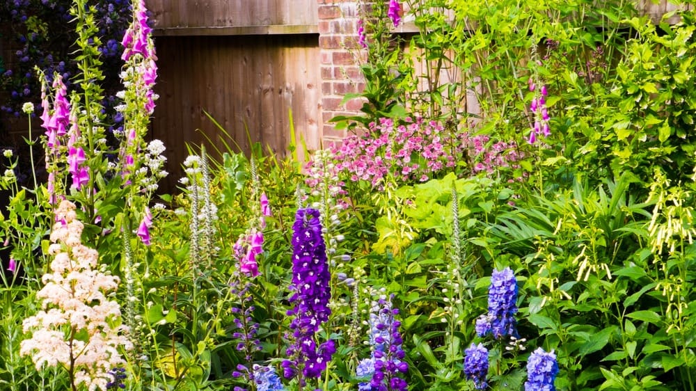 How to Create a Cottage Garden