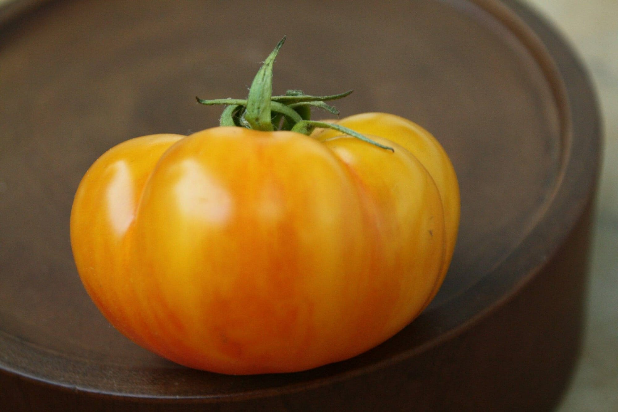 ‘Rumi Banjan’ is small, flattened, and ribbed like a little pumpkin. 