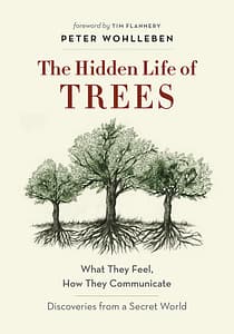 The Hidden Life of Trees by Peter Wohlleben Book Cover