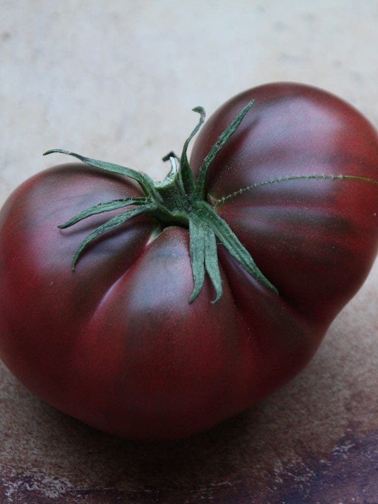 Indian Stripe tomato