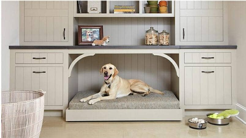 Home Remodeling For Pet Owners - 5 Ideas To Change Their (And Your) Life