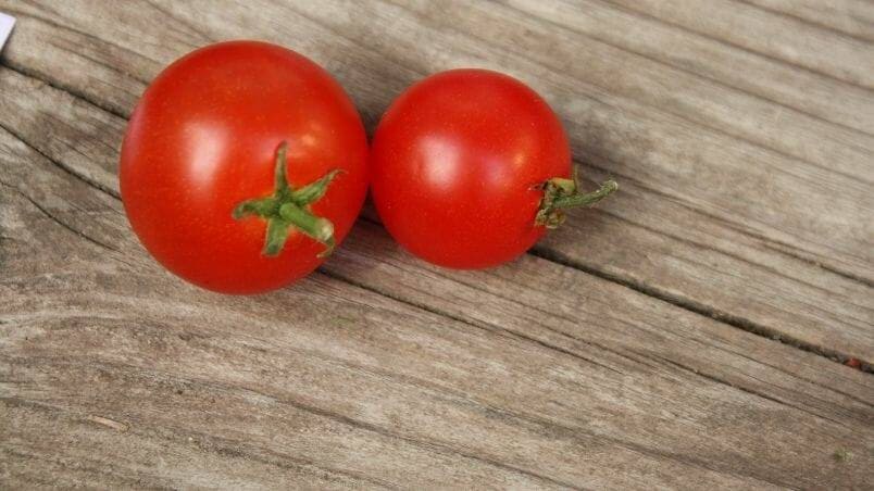 A Tomato Variety Compact Enough for Windowsills