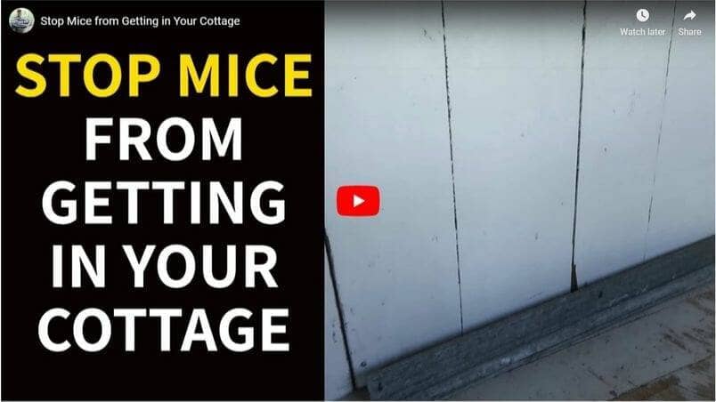 Stop Mice from Getting in Your Cottage